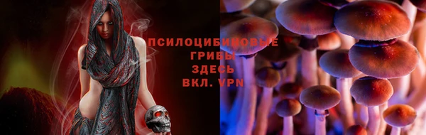 гашик Бугульма