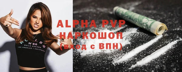 спиды Богданович