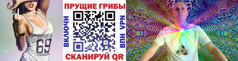 Псилоцибиновые грибы Cubensis Печора